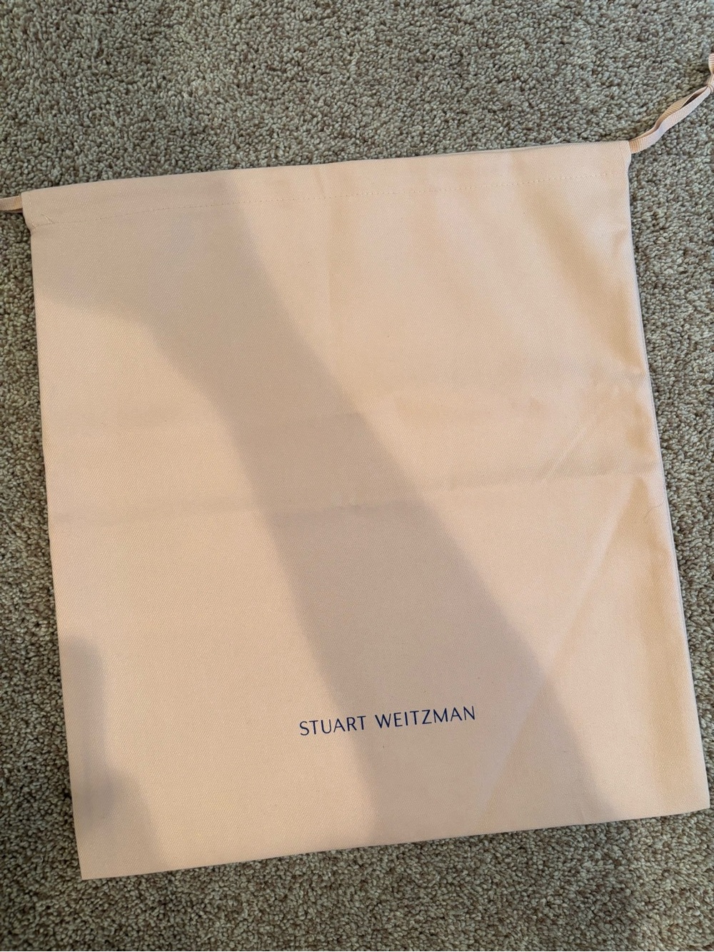 Stuart Weitzman Dust Bag in Light Peach